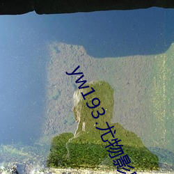 yw193.尤物影院在线播放无需首页登入官网