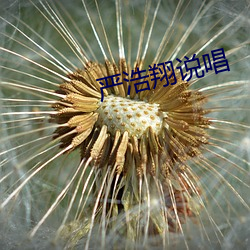 严浩翔说唱