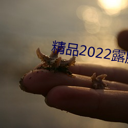 Ʒ2022¶Ęb͵ҕl