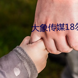 大象传媒18勿进大象网站 （八面莹澈）