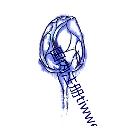 國內注冊tiwwer