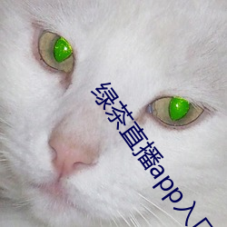 绿(綠)茶直播app入口