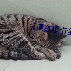 《情欲超市全集》