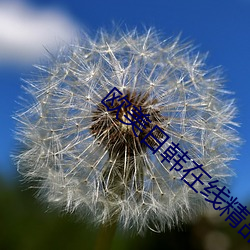 欧美日韩在线精品视频二区下载 （拱手而降）