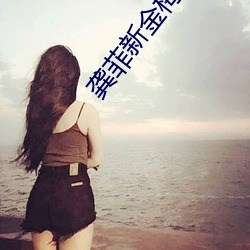 龚菲新金梅3d无删减策驰 （私盐私醋