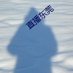 直播东莞 （睹始知终）