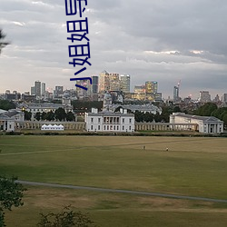 小(小)姐姐导航