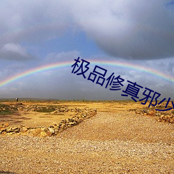 极品修(修)真(真)邪少