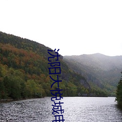 沈阳大悦城电影院