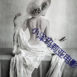 小泽玛莉亚电影