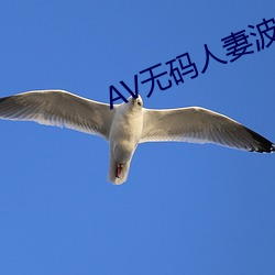 AV无码人妻(qī)波多野结