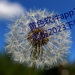 ɫapp3.0.3vivoȫװ2023pear app ң