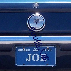 9uu仙(仙)人(人)掌