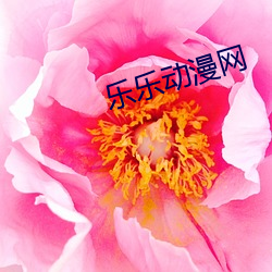 乐乐动漫网(網)