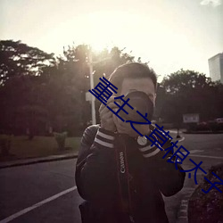 重生之草根太子