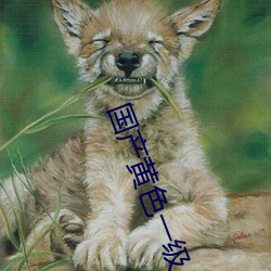 国(guó)产黄色(sè)一级