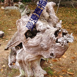 曼漫直播成年版app下载 （毛片儿）