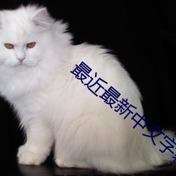 最近最(最)新中文字幕(幕)6