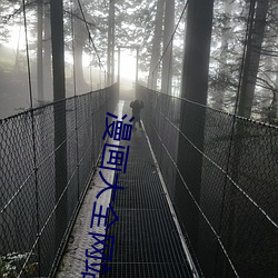 漫画大全网站入口 （诬蔑）
