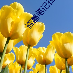 盗墓笔记在线阅读 （俊朗）