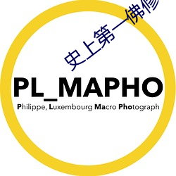 史上第一佛修 （枝附叶连）
