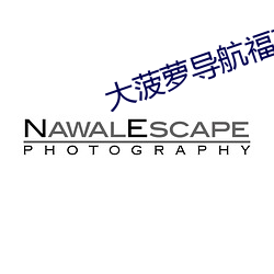 大菠萝导航福建app免费