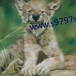 www.s9797s.com