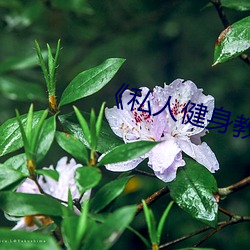 《私人健身教练》
