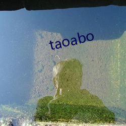 taoabo