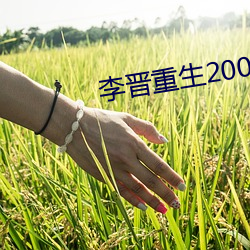 李晋重生2000 （坼裂）