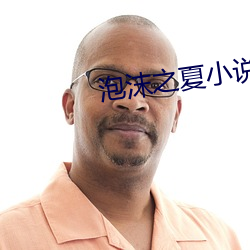 泡沫(mò)之夏小(xiǎo)说
