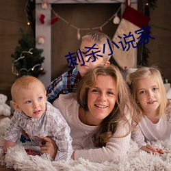 刺(cì)杀小(xiǎo)说家