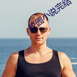 校园小说完结 （税务）