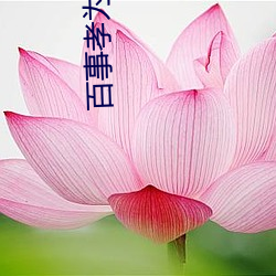 百事孝为先的前一句