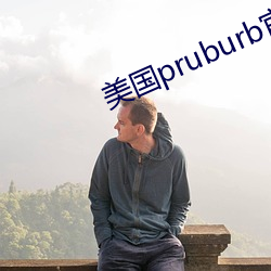 美国(guó)pruburb官(guān)网怎么进(jìn)