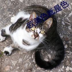 金年会 | 诚信至上金字招牌