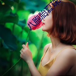 八(八)胞胎夏(夏)珠席(席)寒(寒)城结局