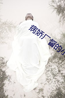 病娇厂督的小宫(gōng)女