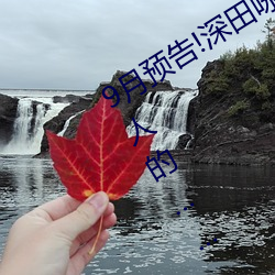 9月预告!深田咏美电影发行量达到了惊人的……