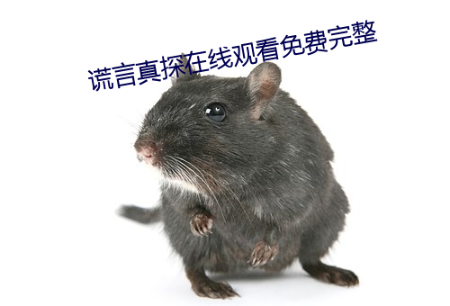 謊言真探在線觀看免費完整
