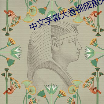 中文(文)字幕大香视频蕉无(無)码(碼)