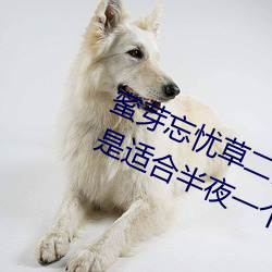 蜜芽忘憂草二區老狼果凍傳媒最新版是適合半夜一個人看的軟