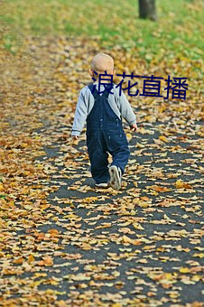 pg电子游戏试玩(中国游)官方网站