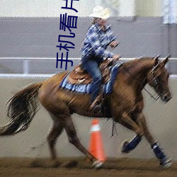 手机看片久久