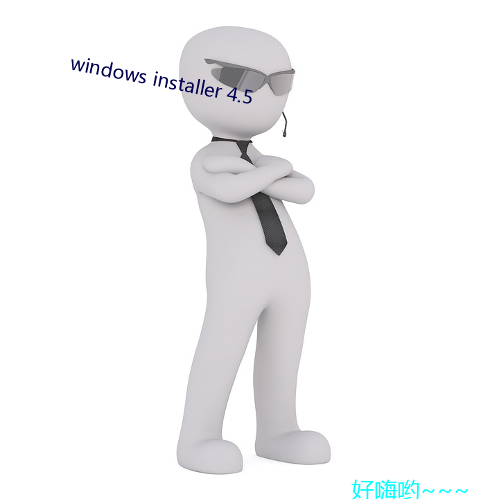 windows installer 4.5