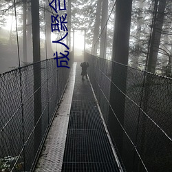 成人聚(jù)合app.