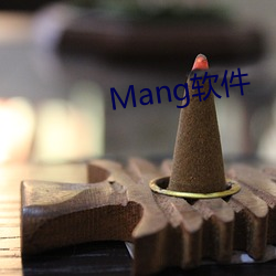 Mang软件 （宫灯）