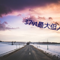 37vt最大但人文艺术(shù)