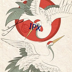 IPX （同心协德）