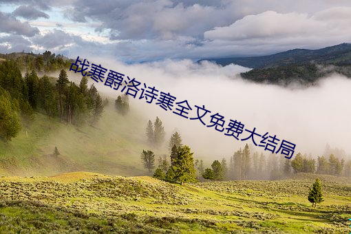 战寒爵洛诗寒全文(文)免(免)费大结局